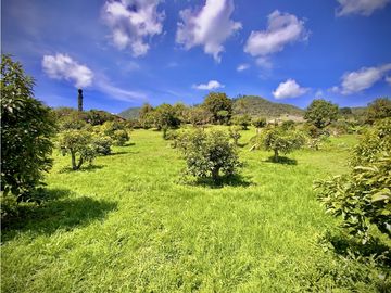 place photo 45