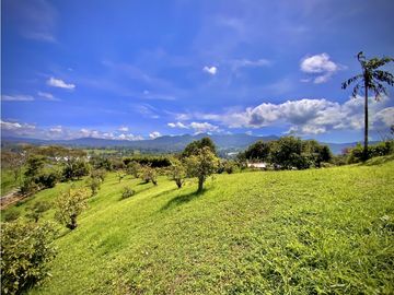 place photo 48