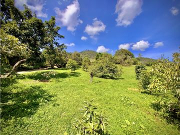 place photo 44