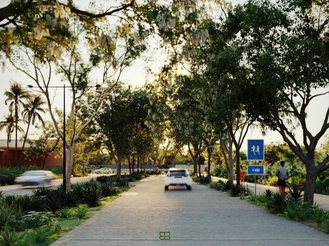 place photo 12