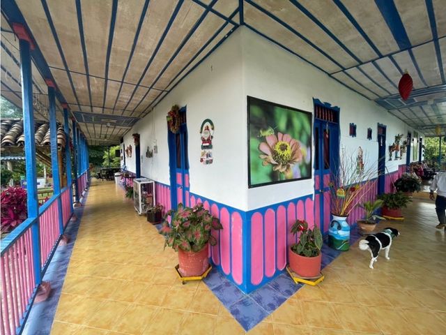 place photo 36