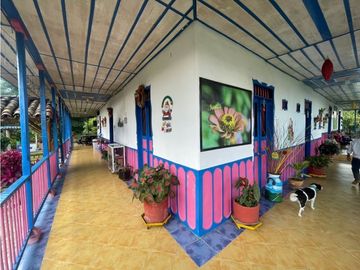 place photo 36