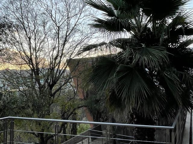 place photo 50