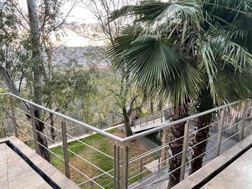 place photo 38
