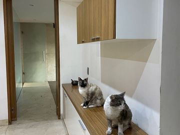 place photo 48