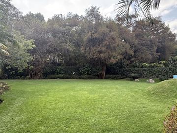 place photo 40