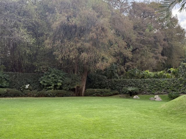 place photo 39