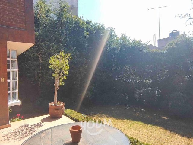 place photo 35