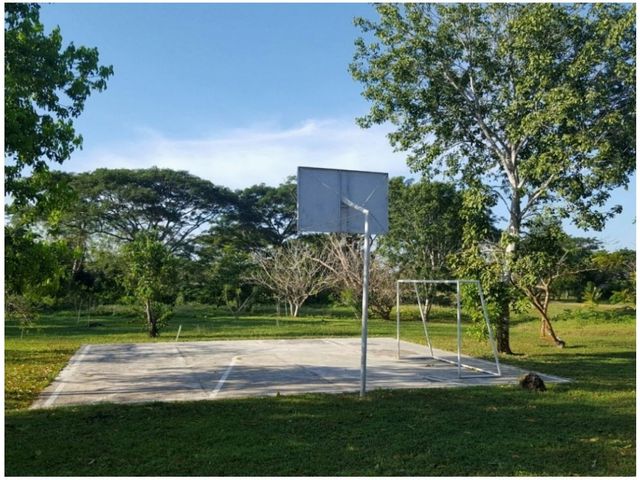 place photo 13