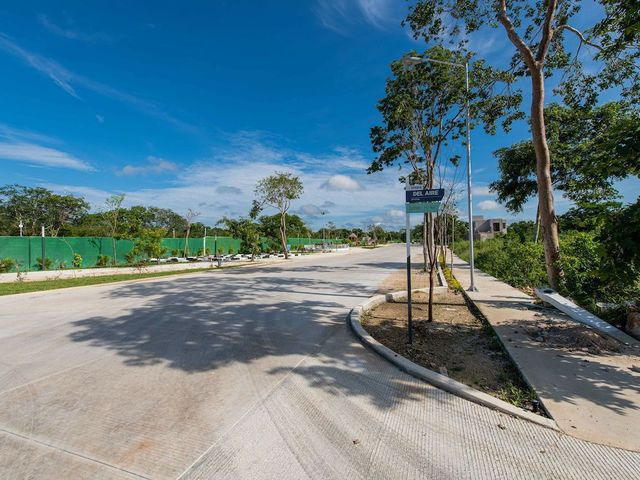 place photo 10