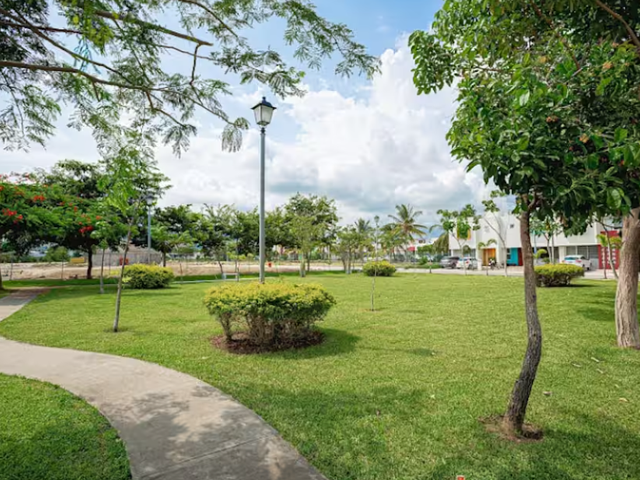 place photo 20