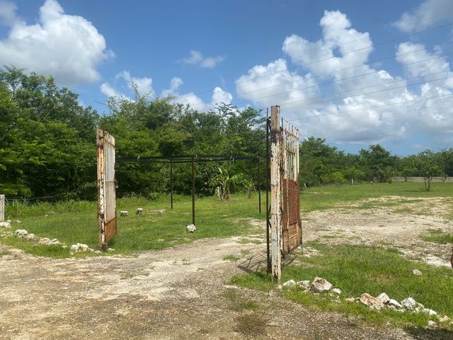 place photo 20