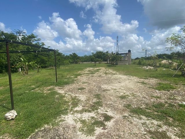 place photo 19
