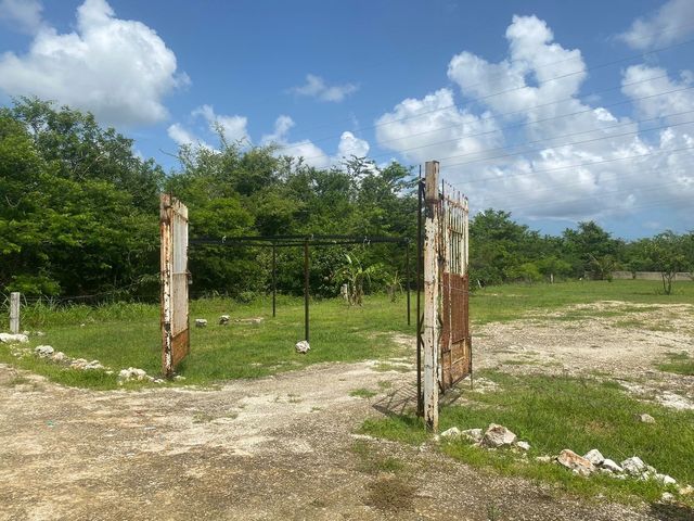 place photo 21