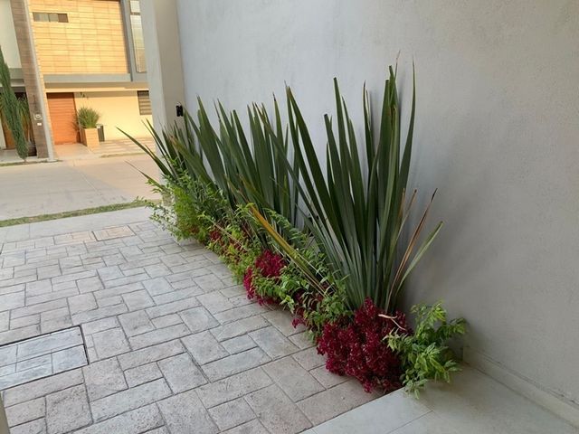 place photo 28