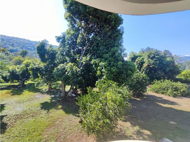 place photo 39