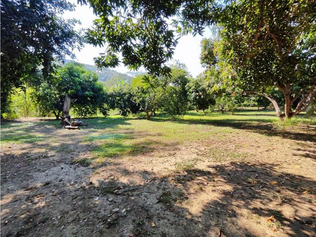 place photo 40