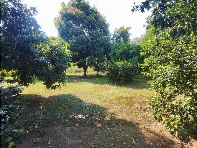 place photo 45