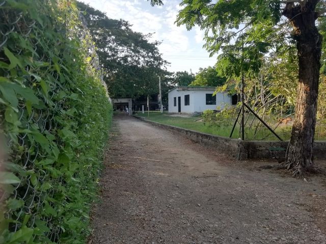 place photo 25