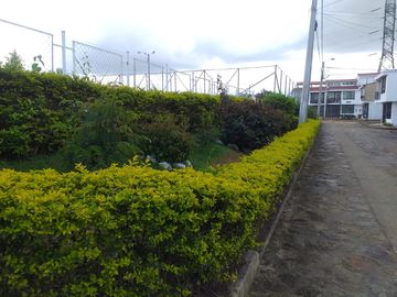 place photo 19