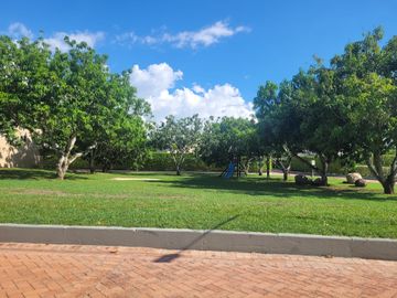 place photo 21