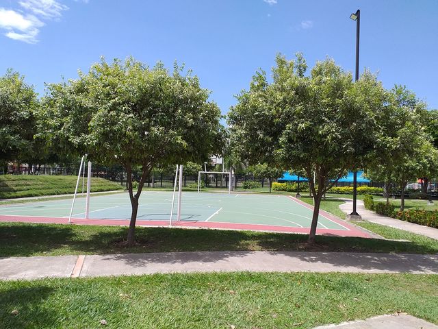 place photo 23