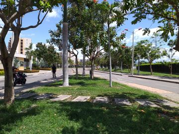 place photo 24