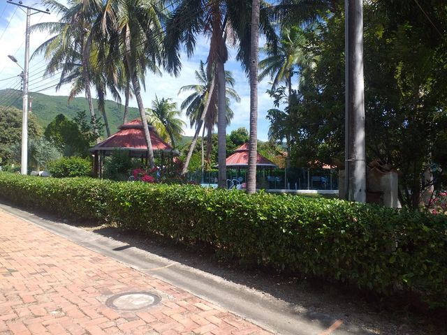 place photo 17