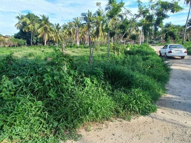 place photo 15