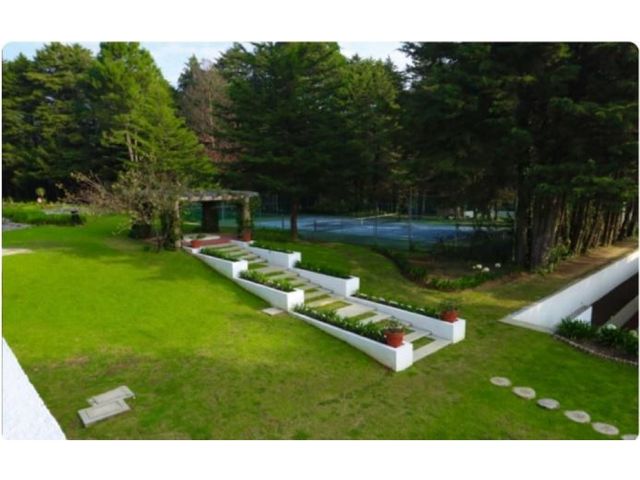 place photo 29