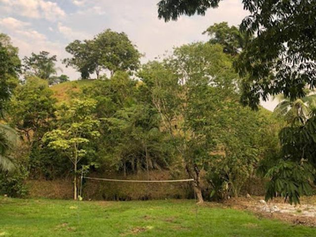 place photo 16