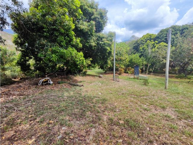 place photo 45