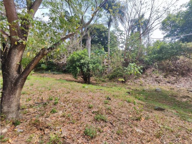 place photo 51