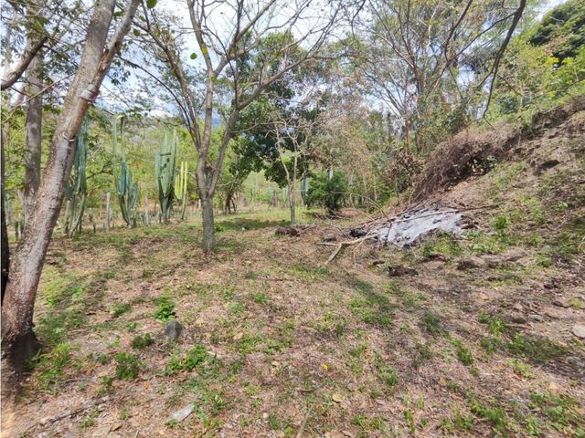 place photo 55