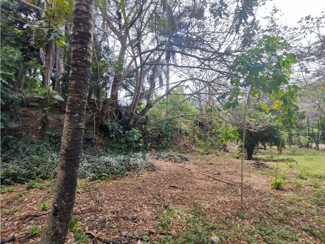 place photo 52