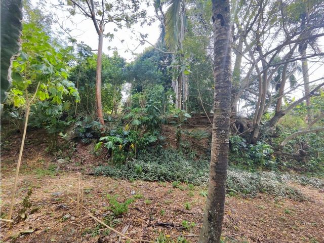place photo 54