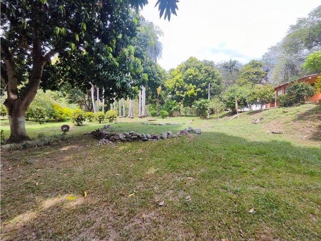 place photo 43