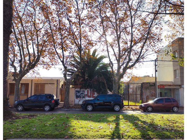 place photo 4