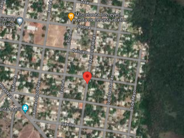 place photo 3