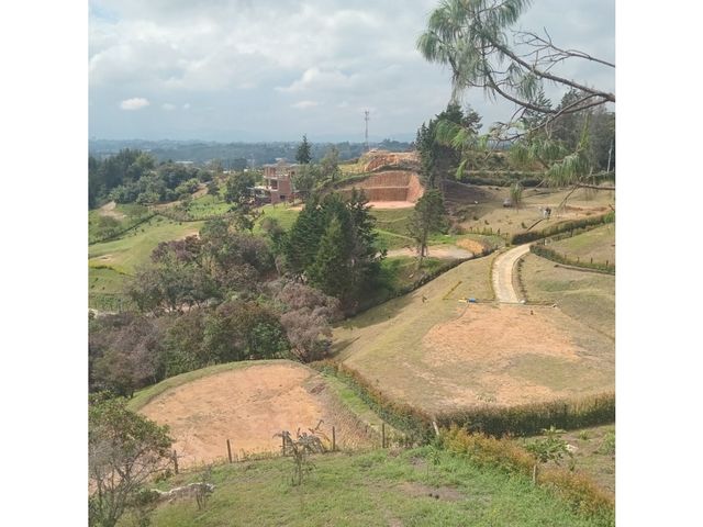 place photo 54