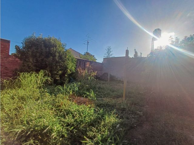 place photo 38