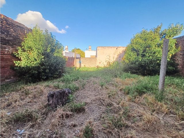 place photo 37