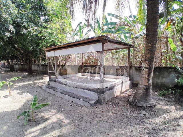 place photo 32