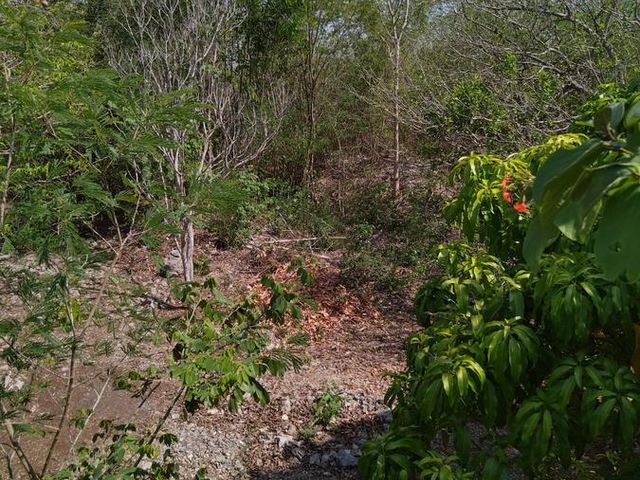 place photo 7