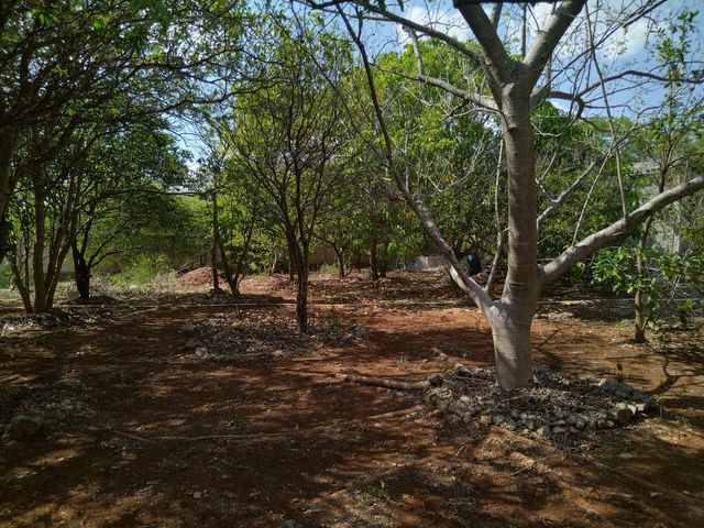 place photo 18