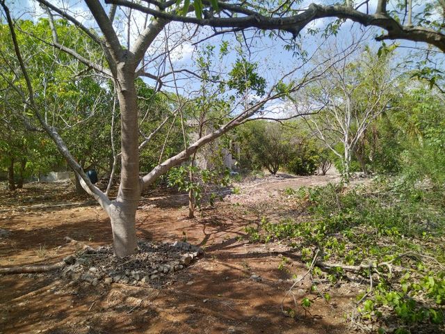 place photo 16