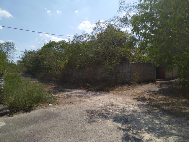 place photo 26