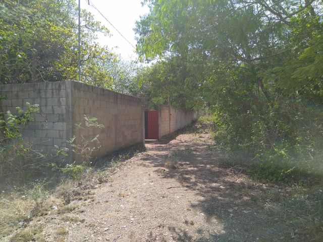 place photo 25