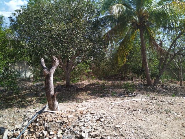 place photo 21