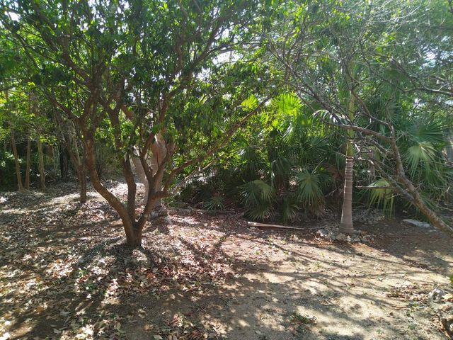 place photo 23